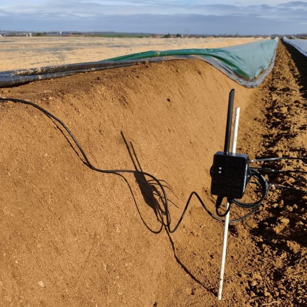 2.Adaptation-Sonde-asperge