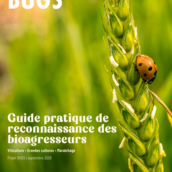 Guide de reconnaissance des bioagresseurs